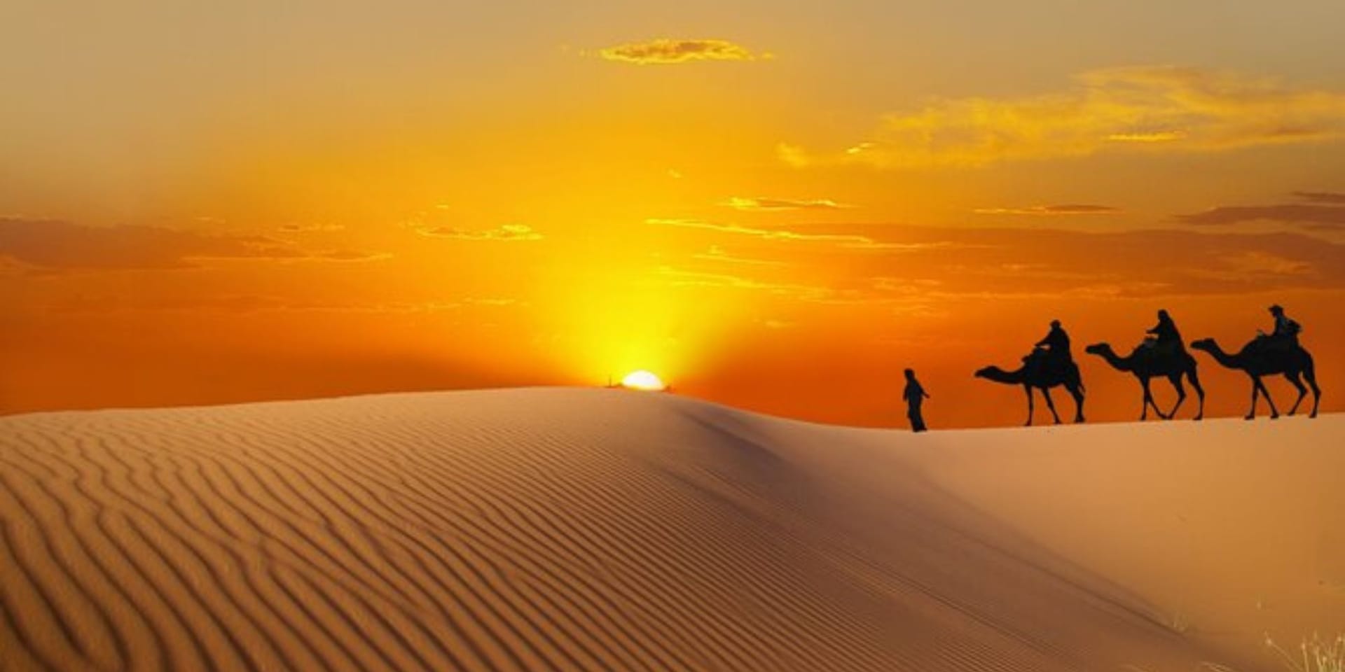 Premium Desert Safari with Dinner at Premium Desert Camp